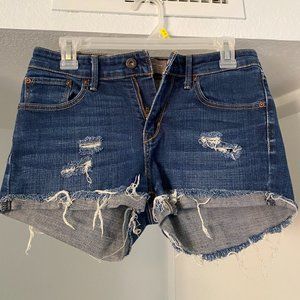 Levi's Distressed Jean Shorts